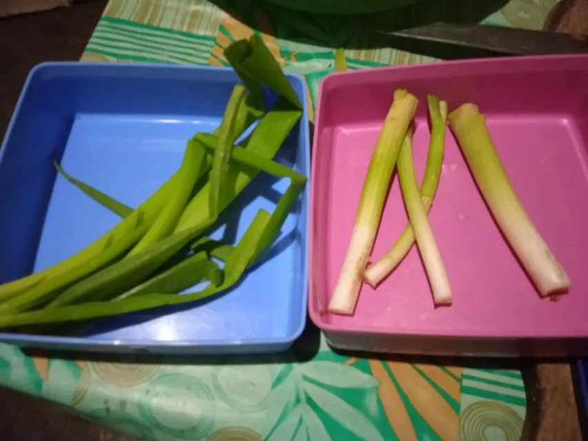 6 Cara Menyimpan Daun Bawang Agar Awet 11 Cara menyimpan daun bawang