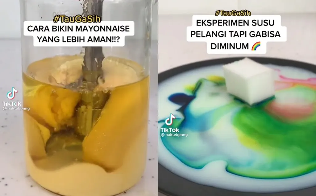 Dennis Guido Menangkan Challenge #TauGaSih TikTok Indonesia Lewat Konten Eksperimen Teknologi Pangan 4