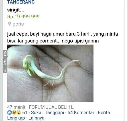 Potret Dagangan Aneh di Facebook ini Bikin Geleng Geleng Kepala. Ada yang Beli? 15