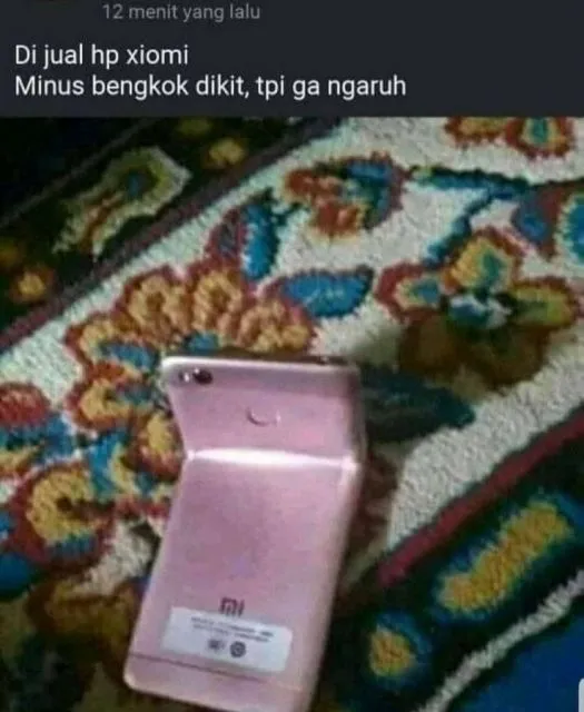 Potret Dagangan Aneh di Facebook ini Bikin Geleng Geleng Kepala. Ada yang Beli? 11