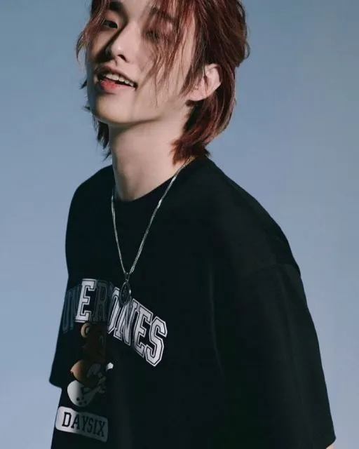 Jae Day6 Minta Maaf Secara Terbuka pada Solois Jamie atas Komentarnya Saat Live Streaming 5