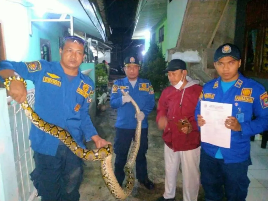 Alasan Kenapa Petugas Damkar Jadi Petugas Serba Bisa. Selalu Sigap! 6