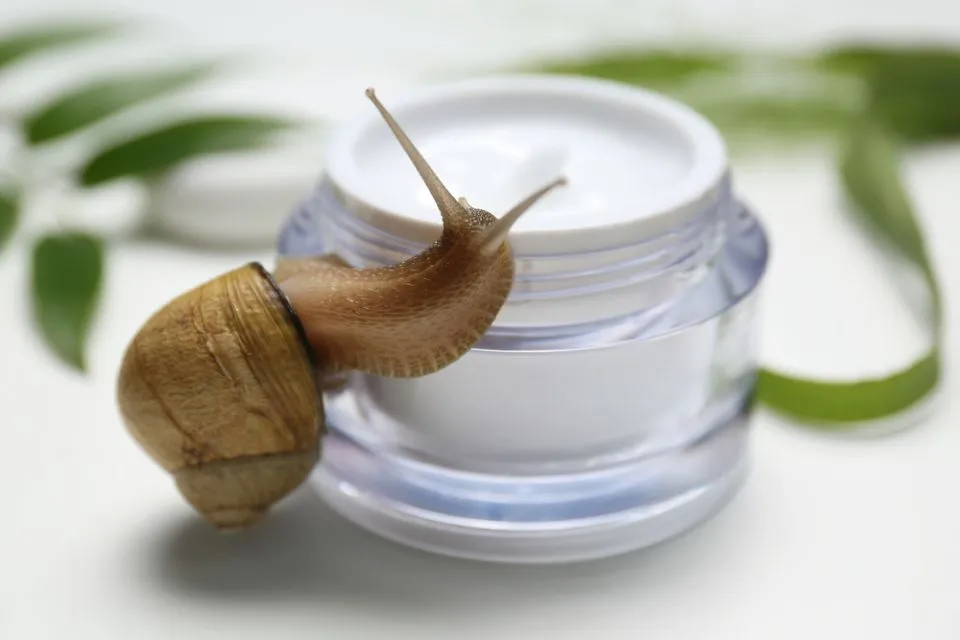 Bahan Skincare yang Dianggap Aneh tapi Diklaim Ampuh Atasi Masalah Kulit 6 Bahan skincare aneh