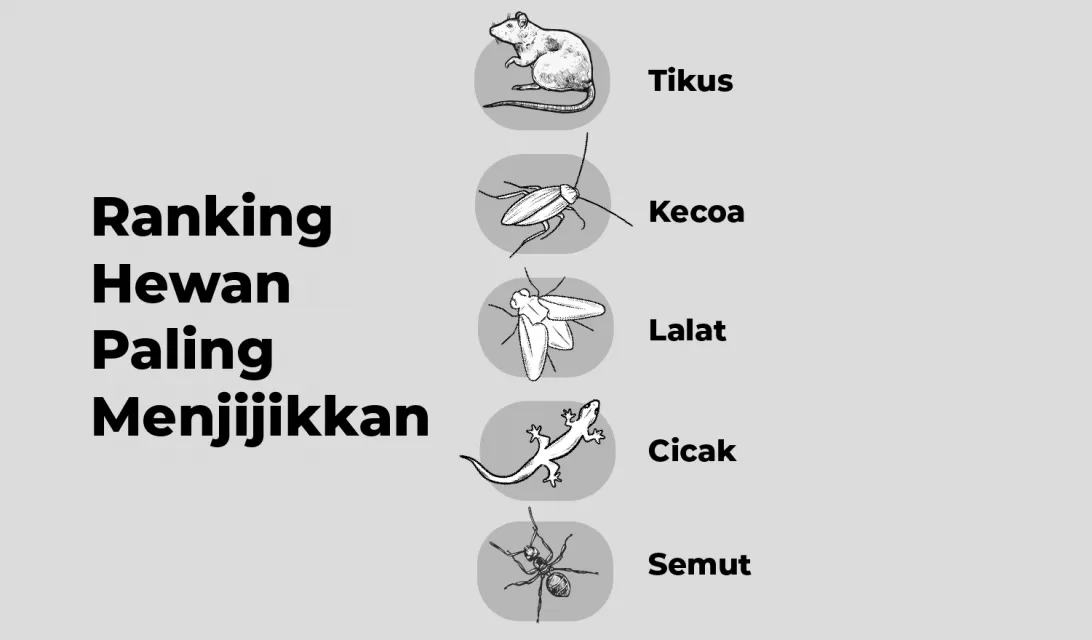 5 Besar Hewan Paling Jorok yang Hinggap di Makanan. Mana yang Masih Bisa Dikonsumsi? 12