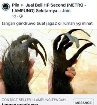 Potret Dagangan Aneh di Facebook ini Bikin Geleng Geleng Kepala. Ada yang Beli? 13
