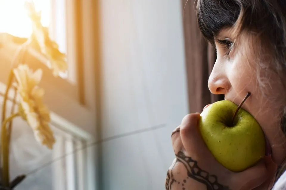 Panduan Menyusun Isi Piring Sekali Makan untuk Porsi Harian ala Piring Sehat 10 Asupan buah-buahan