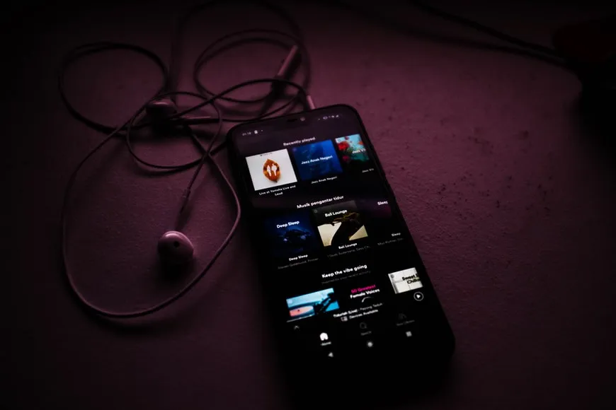Macam-macam Tipe Orang Pengguna Spotify. Kamu Termasuk yang Mana? 10