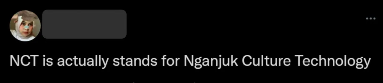 Nggak Hanya Billie Eilish, NCT Dream Juga Disebut Warganet Indonesia Jadi Orang Nganjuk~ 12
