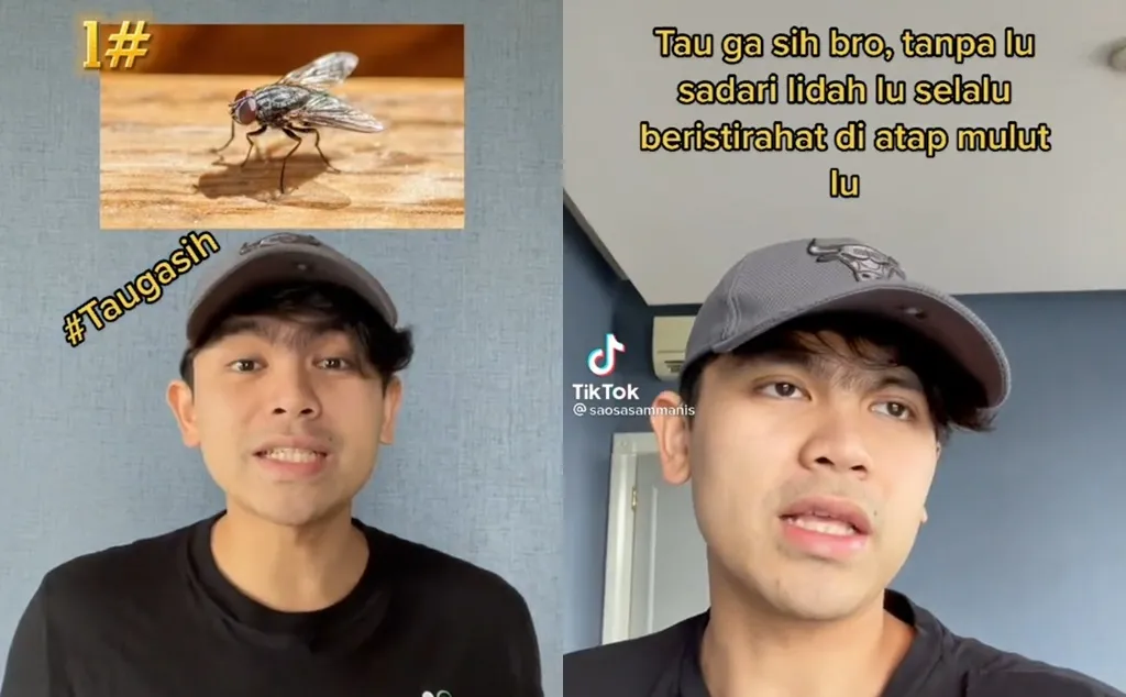 Suguhkan Konten Edukasi Bernuansa Komedi, Pedro Setiabudi Menangkan Challenge #TauGaSih TikTok Indonesia 4