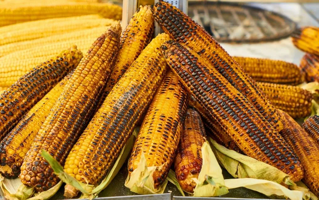Kalori Jagung Rebus, Punya Nutrisi yang Tinggi 8