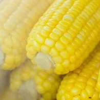 Kalori Jagung Rebus, Punya Nutrisi yang Tinggi