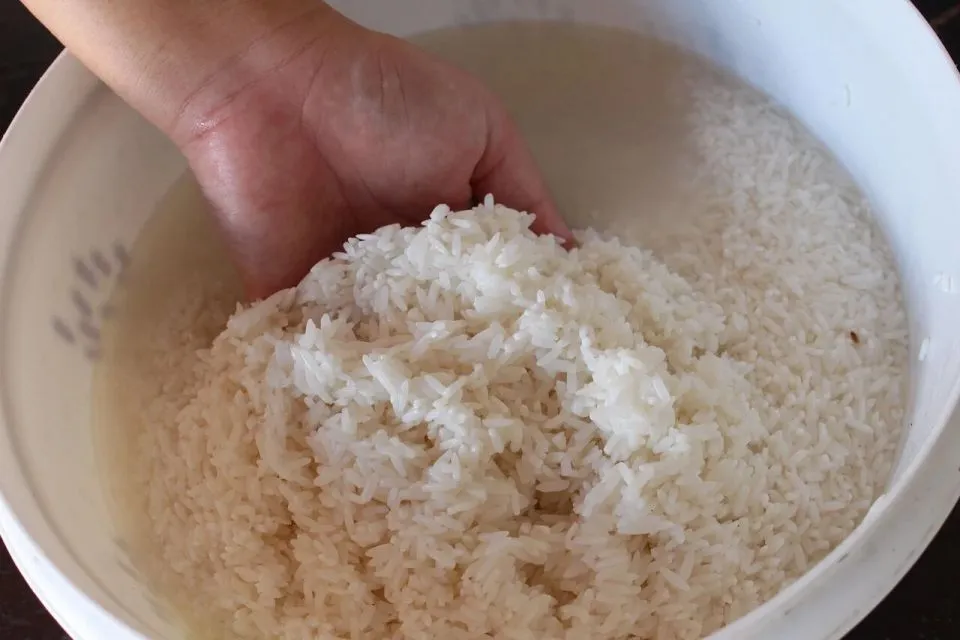 Cara Menggunakan Rice Cooker agar Awet & Tak Cepat Rusak 9 cara menggunakan rice cooker