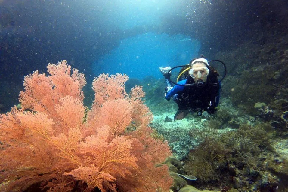 6 Destinasi Sport Tourism yang Gunakan Nama Artis Indonesia, Unik Banget! 10 Nadine