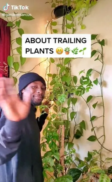 7 Akun TikTok yang Bikin Konten Edukasi, Yuk Tambah Wawasan! 14 Garden Marcus