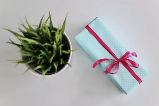 5 Rekomendasi Kado Pernikahan buat Teman 10 kado voucher