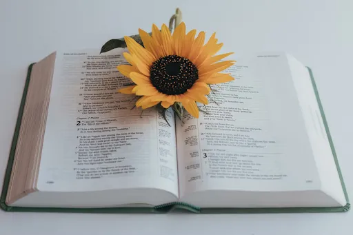 10 Ayat Alkitab Ulang Tahun untuk Orang Terkasih 4 bible