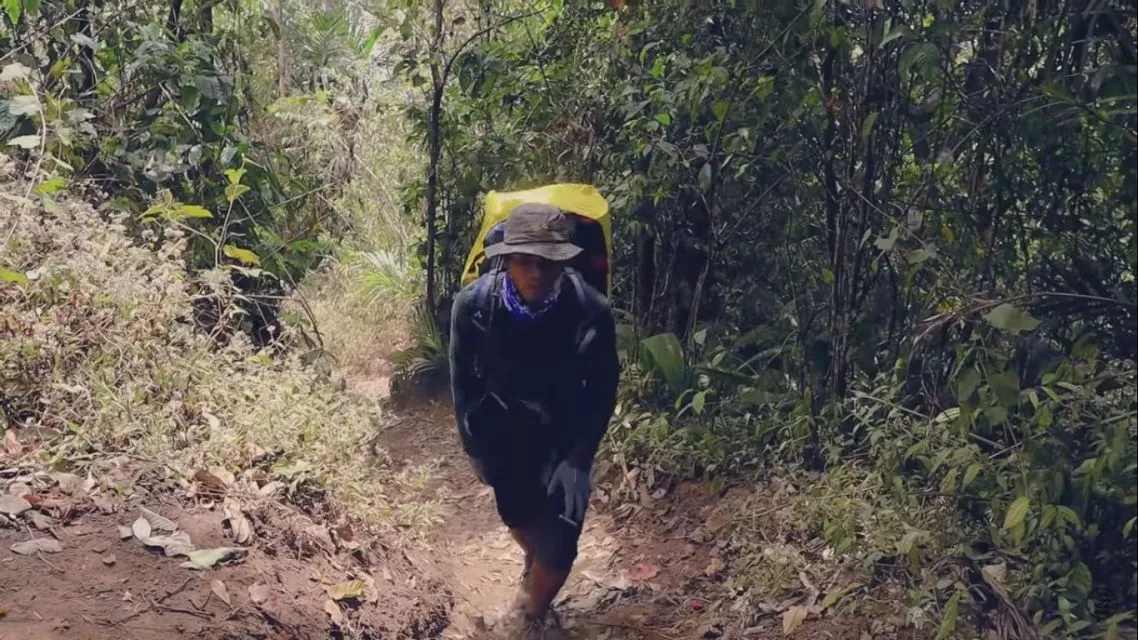 Kanal YouTube Indonesia yang Bikin Konten Seputar Alam. Seru Banget! 8 Kanal YouTube alam