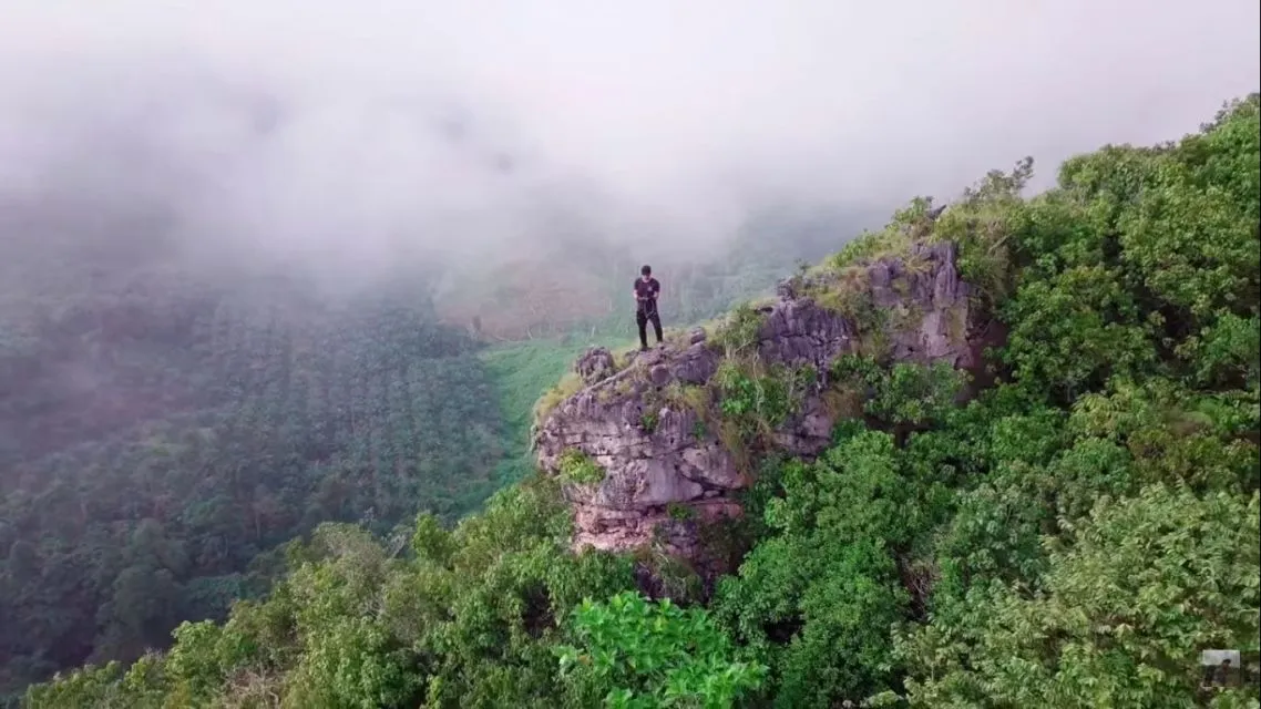 Kanal YouTube Indonesia yang Bikin Konten Seputar Alam. Seru Banget! 11 Kanal YouTube alam