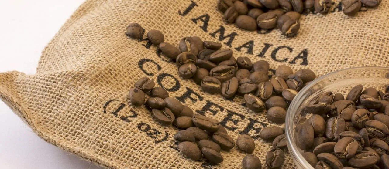 Inilah 8 Kopi Termahal di Dunia, Harganya Bikin Kepala Pusing! 9