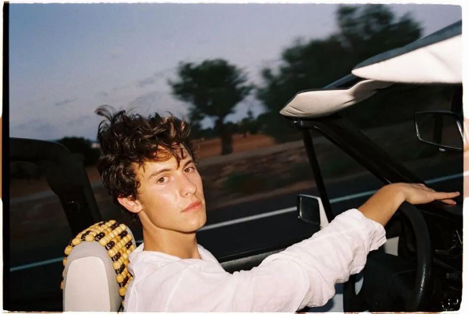 7 Artis Luar Negeri yang Luncurkan Uang Kripto & Jual NFT. Ada Lindsay Lohan dan Paris Hilton 13 Shawn Mendes