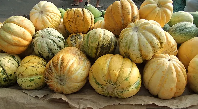 8 Tips Memilih Blewah yang Manis dan Segar. Cocok untuk Teman Takjil 9 Blewah yang matang berwarna kuning