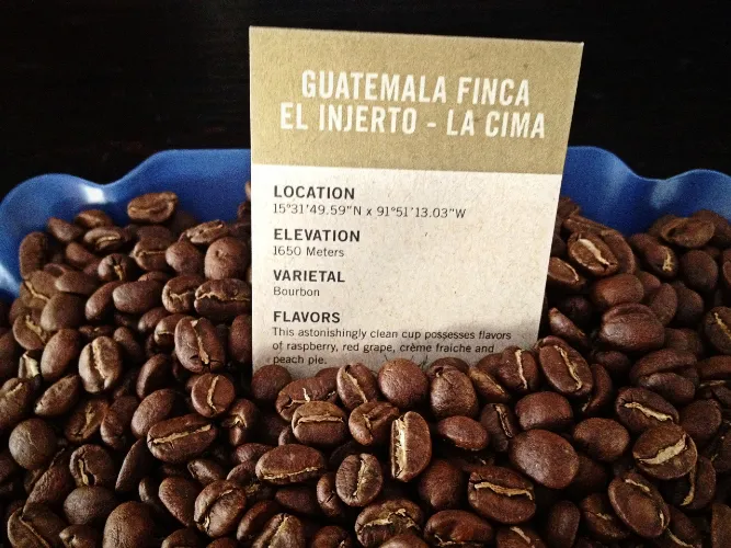 Inilah 8 Kopi Termahal di Dunia, Harganya Bikin Kepala Pusing! 14 Finca EL Injerto Coffee