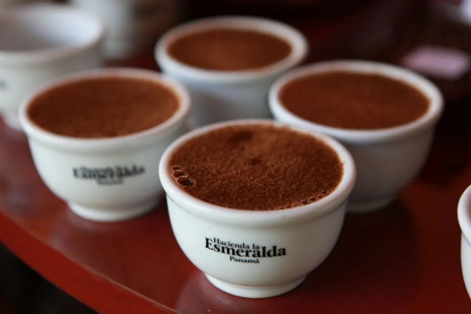 Inilah 8 Kopi Termahal di Dunia, Harganya Bikin Kepala Pusing! 13