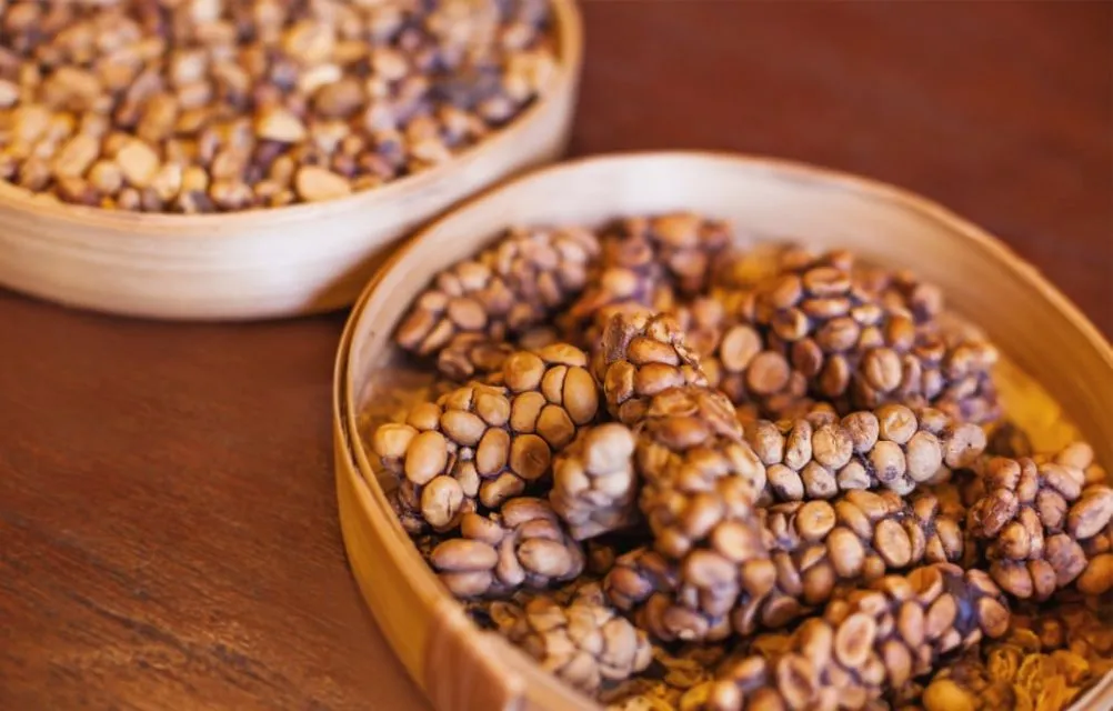 Inilah 8 Kopi Termahal di Dunia, Harganya Bikin Kepala Pusing! 11 Kopi Luwak