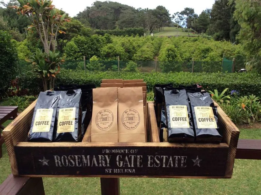 Inilah 8 Kopi Termahal di Dunia, Harganya Bikin Kepala Pusing! 10 St. Helena Coffee