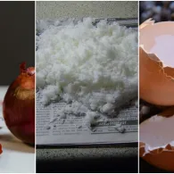 10 Bahan Pupuk Alami untuk Suburkan Tanaman. Praktis dan Mudah Didapat!