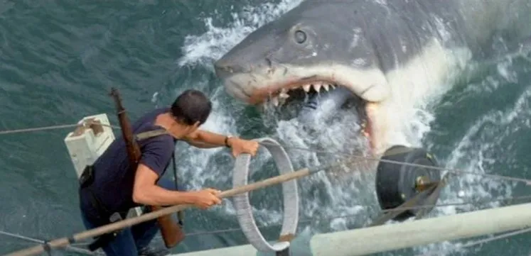 Pengin Tes Fobia? Coba Tonton 9 Film Horor yang Terinspirasi dari Berbagai Fobia ini! 14 Jaws