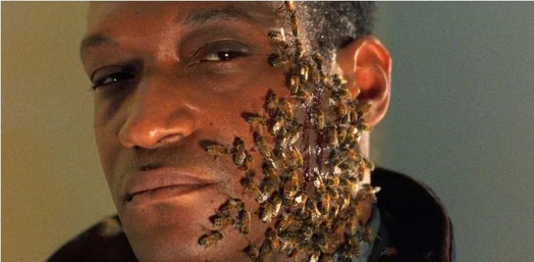 Pengin Tes Fobia? Coba Tonton 9 Film Horor yang Terinspirasi dari Berbagai Fobia ini! 10 Candyman