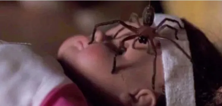 Pengin Tes Fobia? Coba Tonton 9 Film Horor yang Terinspirasi dari Berbagai Fobia ini! 13 Fobia laba-laba