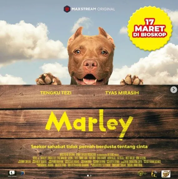 Rekomendasi 8 Film Indonesia yang Akan Tayang Maret 2022 di Bioskop 12 Marley