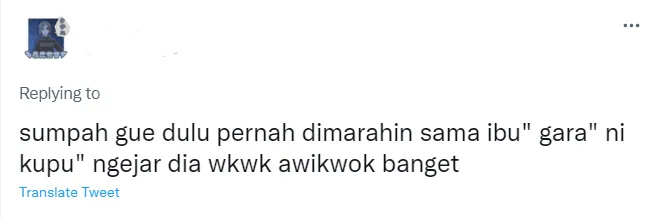 Pengalaman Kocak Warganet Main Mercon Kupu-kupu. Ngeselin Banget! 16 Pengalaman warganet main petasan
