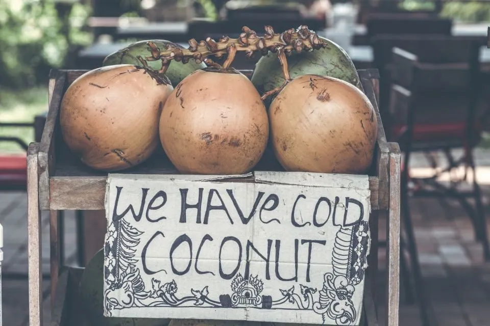 Tips Memilih Kelapa Kopyor yang Segar dan Banyak Dagingnya 20 tips memilih kelapa kopyor