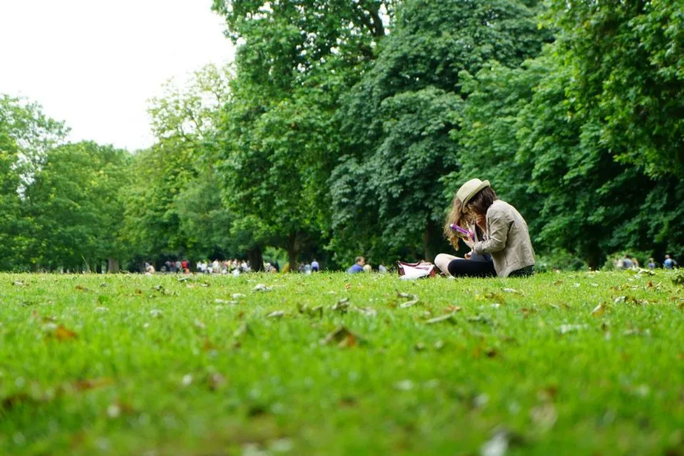 7 Tips Istirahat Sejenak saat Capek Belajar dan Menghafal. Fokus, Fokus! 14 Lapangan rumput hijau