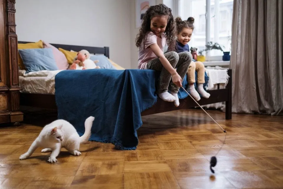 Tips Agar Kucingmu Tidak Berontak Saat Potong Kuku. Ajaklah Bermain! 6 Ajak kucing bermain agar kucing merasa lelah dan ngantuk