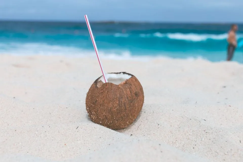 Tips Memilih Kelapa Kopyor yang Segar dan Banyak Dagingnya 13 tips memilih kelapa kopyor