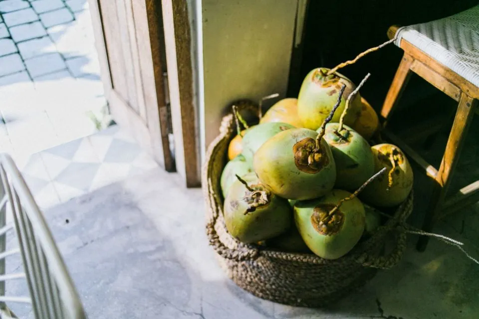 Tips Memilih Kelapa Kopyor yang Segar dan Banyak Dagingnya 14 tips memilih kelapa kopyor