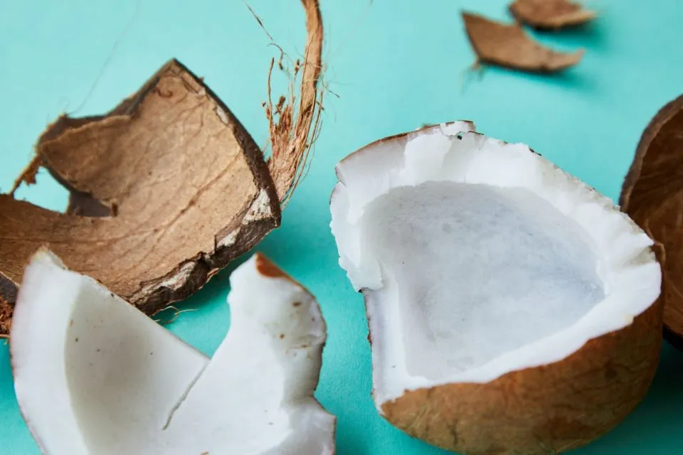 Tips Memilih Kelapa Kopyor yang Segar dan Banyak Dagingnya 17 tips memilih kelapa kopyor