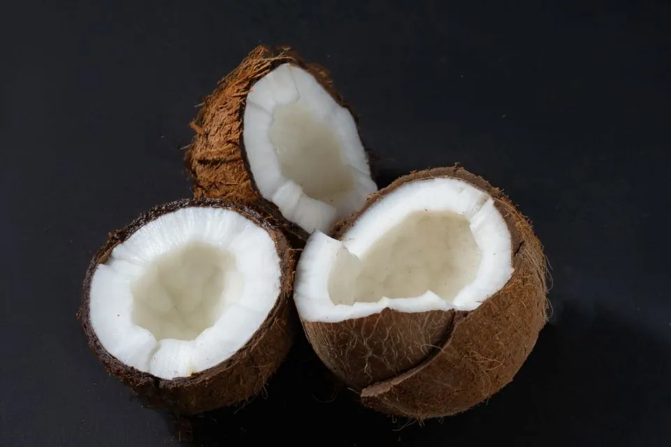 Tips Memilih Kelapa Kopyor yang Segar dan Banyak Dagingnya 18 tips memilih kelapa kopyor