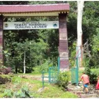 Bangga, TN Gunung Leuser Masuk Serial Dokumenter Netflix Garapan Obama