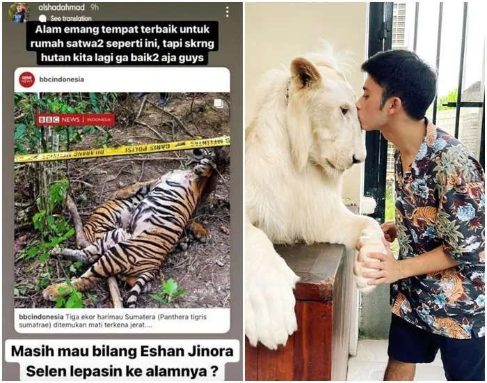 Alshad Ahmad Dikritik Gara-Gara Pelihara Satwa Liar dan Dijadikan Konten 2 Komentar Alshad Ahmad
