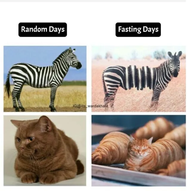 10 Kumpulan Meme Absurd Sambut Ramadan 2025, Relate Banget! 18