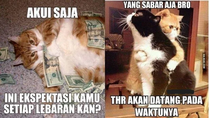 11 Meme Dapat THR Lebaran 2022 yang Ngenes tapi Bikin Ngakak 14
