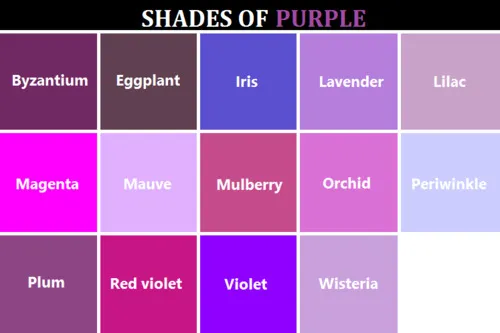 Panduan Membedakan Warna untuk Cowok yang Selalu Bilang Semua Warna Sama Aja 9 Turunan warna ungu