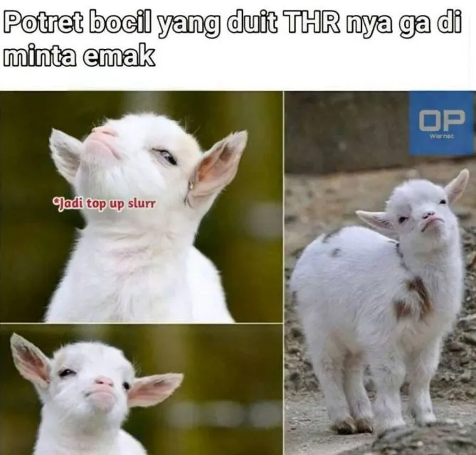 11 Meme Dapat THR Lebaran 2022 yang Ngenes tapi Bikin Ngakak 18
