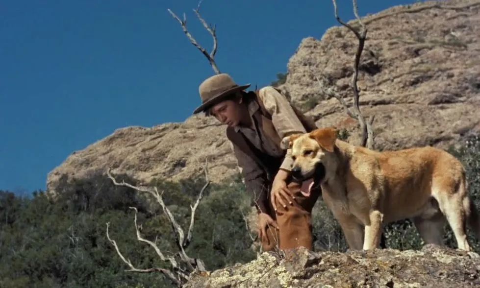 Rekomendasi Film tentang Anjing Tersedih. Siapin Banyak Tisu~ 10 Old Yeller