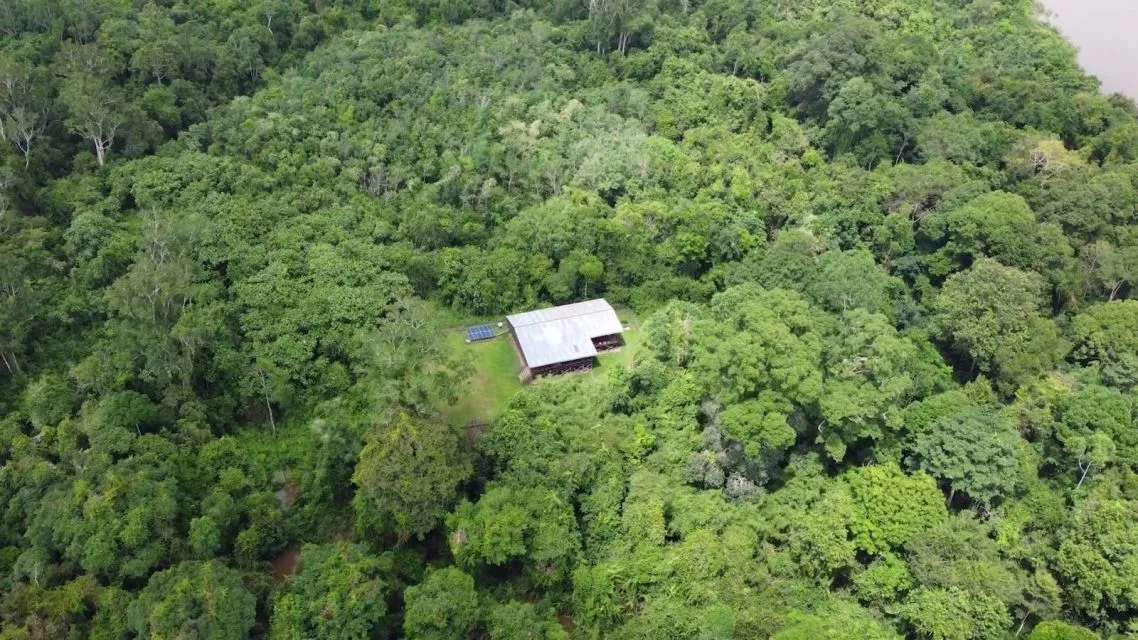 Profil Andrew Kalaweit, Remaja 18 Tahun yang Dijuluki Tarzan Kalimantan 8 Lokasi rumah Andrew Kalaweit